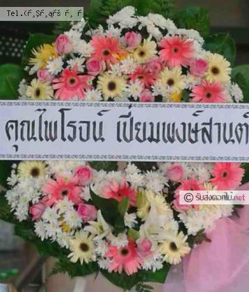 จัดส่ง  จ.ชลบุรี