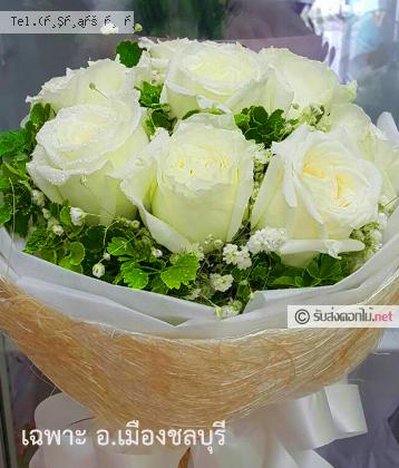 จัดส่ง  จ.ชลบุรี