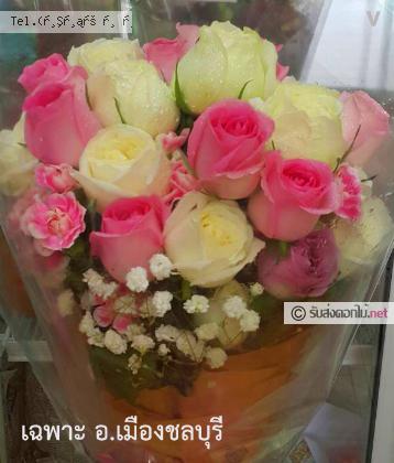 จัดส่ง  จ.ชลบุรี