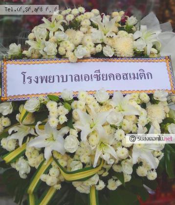 จัดส่ง  จ.นนทบุรี