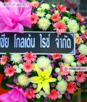 จัดส่ง  จ.เพชรบุรี