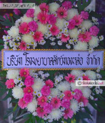 จัดส่ง  จ.แพร่