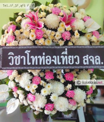 จัดส่ง  จ.ระยอง